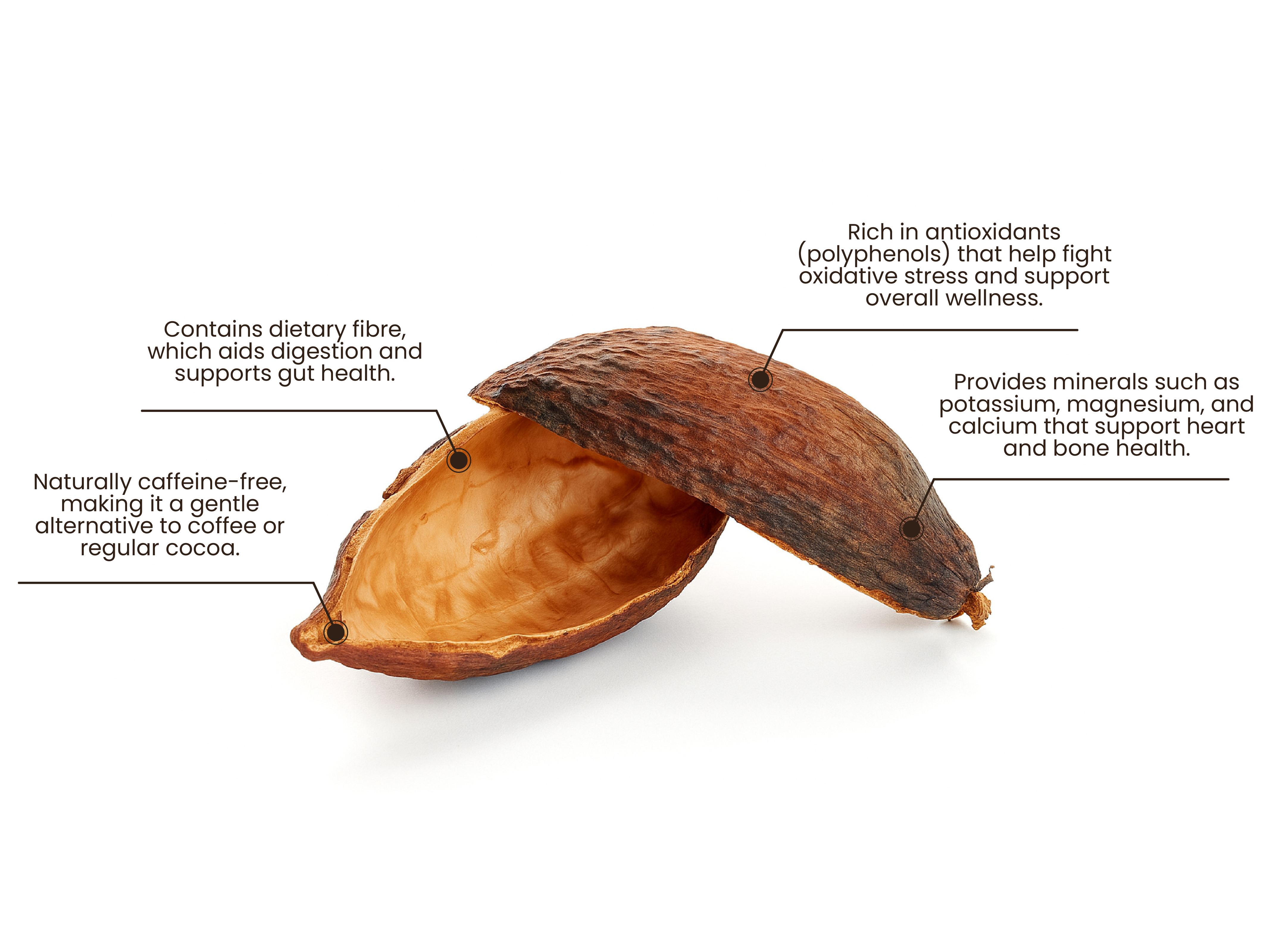 Detailed diagram showing cocoa pod transformation process into wellness tea