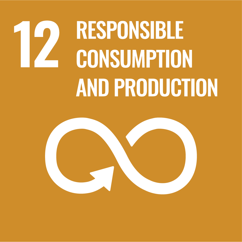 UN Sustainable Development Goal 12: Responsible Consumption and Production