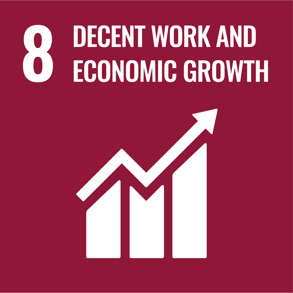 UN Sustainable Development Goal 8: Decent Work and Economic Growth
